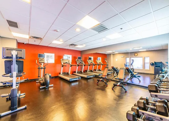Metro Phx Downstairs Studio Sleeps 4 Ada Accessible