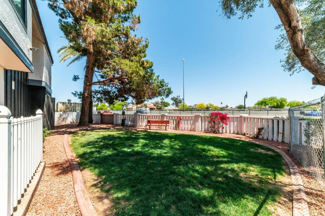 Metro Phx Downstairs Sleeps 4 Ada Accessible Apartment
